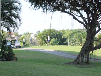 golfers_in_community